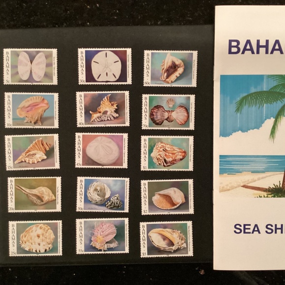 1996 Bahamas - Sea Shells Definitive Stamp Issue - Picture 1 of 4